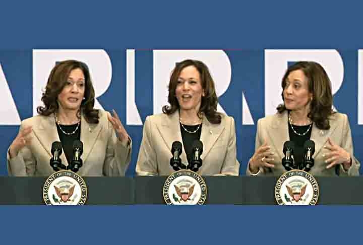 Um desafio para Kamala Harris é a baixa popularidade que teve durante o mandato de Biden, contrariando as expectativas que cercavam seu nome. 
 Reprodução: Flipar