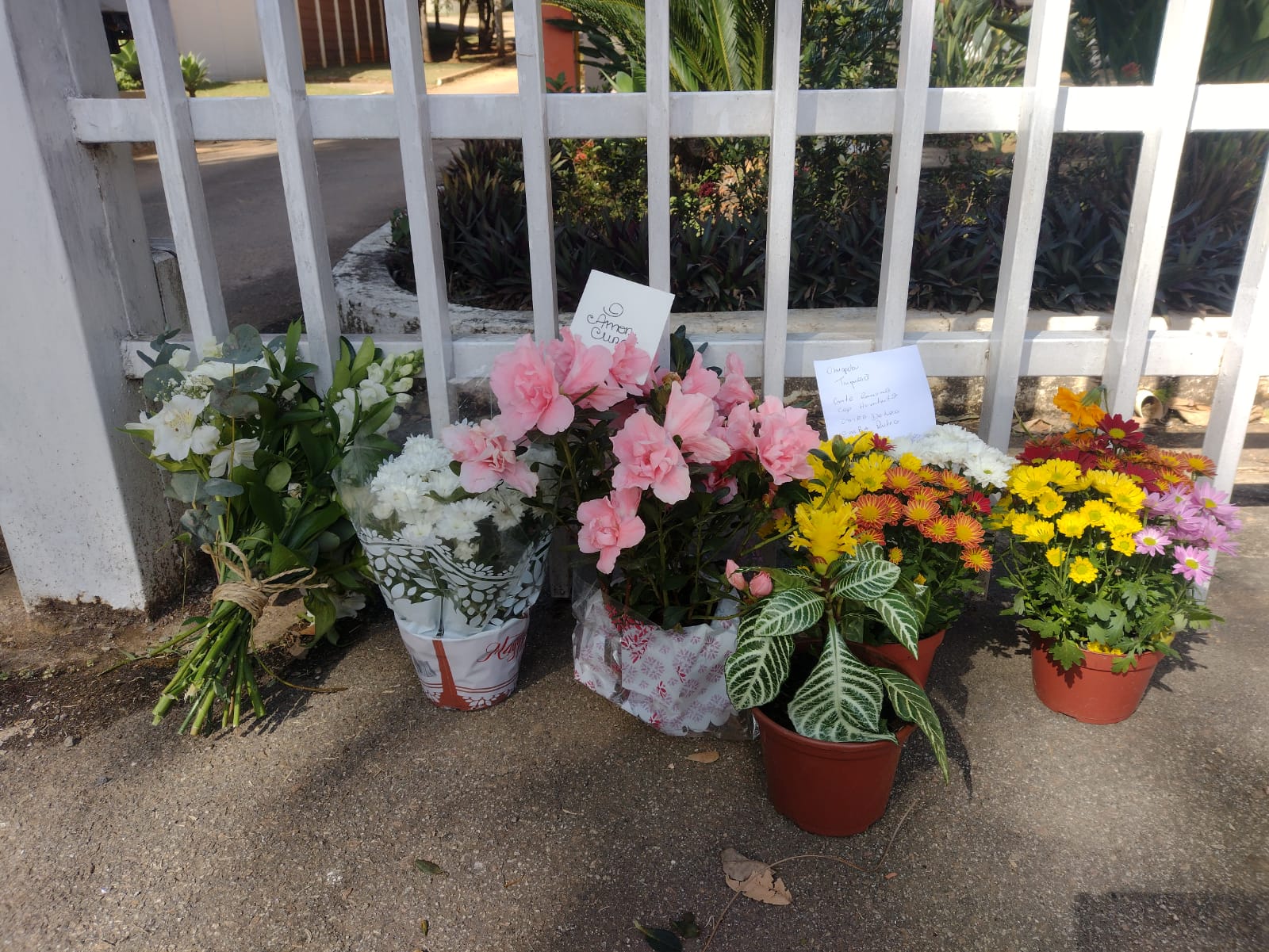 Flores são deixadas em frente ao condomínio em homenagem às vítimas do acidente aéreo Pedro Lopes/Portal iG