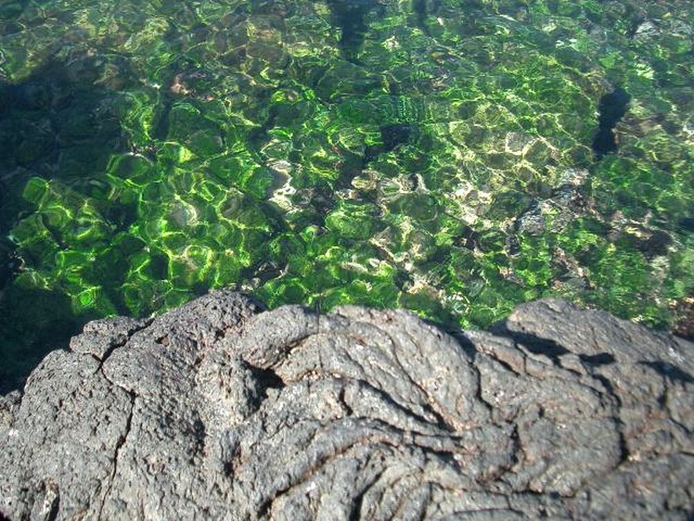 Ilha do Arquipélago de Galápagos. Foto: Reprodução / Redes Sociais