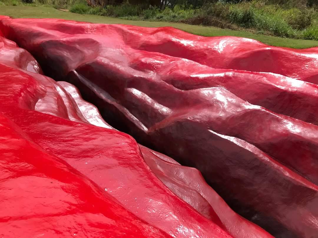 Artista visual faz vagina de 33 metros na Zona da Mata Sul de Pernambuco. Foto: Reprodução/Facebook