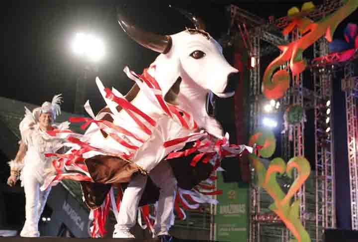 Outro festejo tradicional do carnaval de Manaus é o Carnaboi, que também tem lugar normalmente no sambódromo da cidade. Reprodução: Flipar