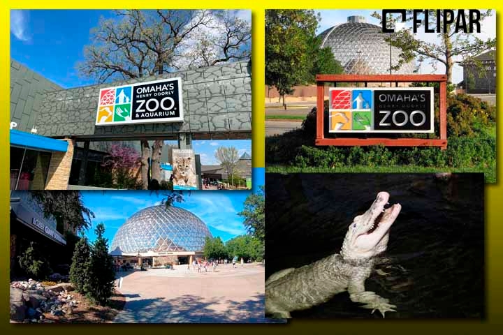“Os turistas não devem jogar moedas em nenhum corpo d’água do zoológico”, ressaltou o estabelecimento em comunicado. 
 Reprodução: Flipar