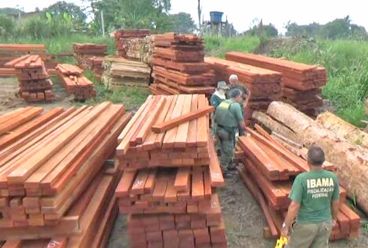 Essas serrarias eram capazes de cortar quantidade diária de madeira suficiente para encher dois caminhões.
