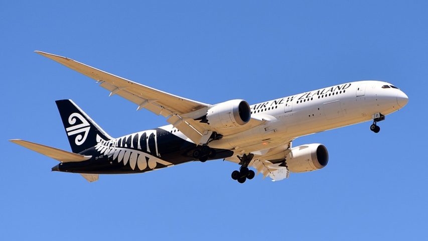 A empresa faz parte da Star Alliance e mantém parcerias estratégicas para ampliar sua conectividade global. Frequentemente, recebe prêmios por seu serviço de bordo e entretenimento de alta qualidade. Reprodução: Flipar