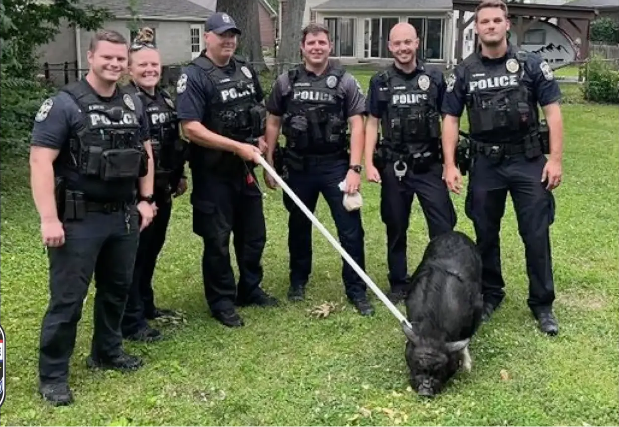 Os seis policiais posaram orgulhosamente para uma foto com o Sr. BaconBits após sua captura divertida. Foto: Reprodução/Facebook - 06/07/2023