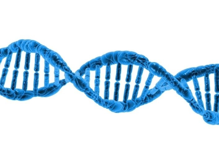 Ao vasculhar o DNA, ficou evidente a presença de grupos de genes de cachorro doméstico e outros de graxaim-do-campo. Reprodução: Flipar