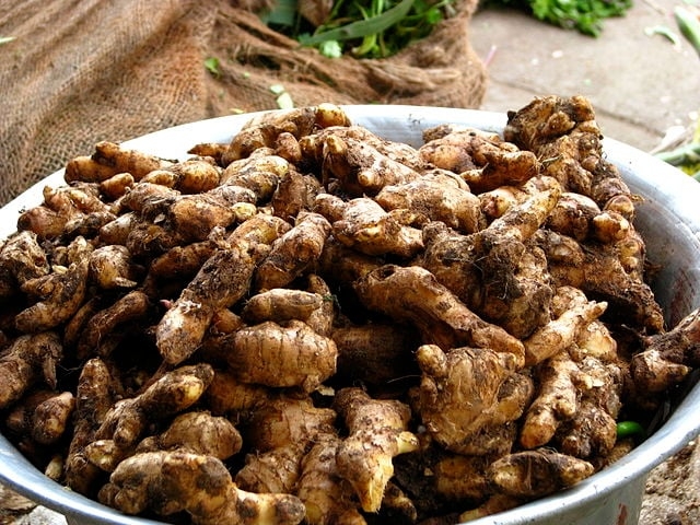 A relação entre o gengibre e o câncer tem sido alvo de pesquisas. Alguns estudos indicam que os compostos bioativos dessa raiz podem ajudar a combater o estresse oxidativo e a inflamação, dois fatores que contribuem para o desenvolvimento de tumores. Reprodução: Flipar