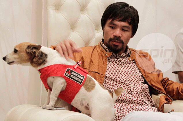 Lutador ao lado do cachorro. Foto: Instagram