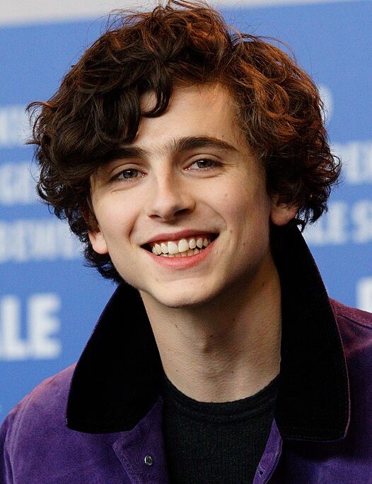 Timothée Hal Chalamet nasceu em 27 de dezembro de 1995 em Nova York. Nos últimos anos, o ator vem conquistando Hollywood com doses de talento, carisma e beleza. Reprodução: Flipar